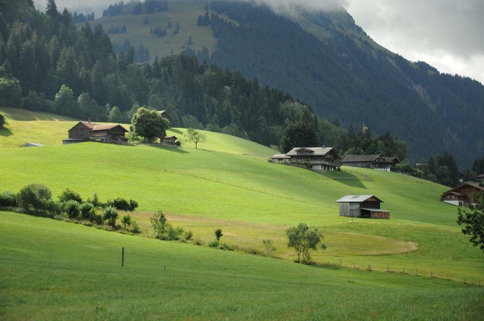 Residence "Les Cretes" Torgon Bagian luar foto
